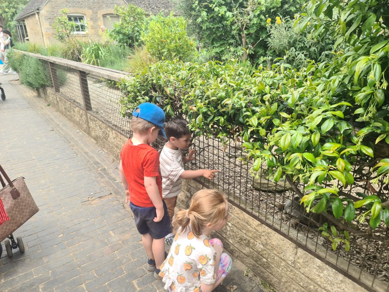 Watering the plants